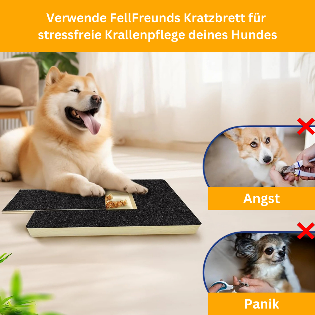 Scratch Board for Dogs – Stress-Free Nail Filing for Your Dog