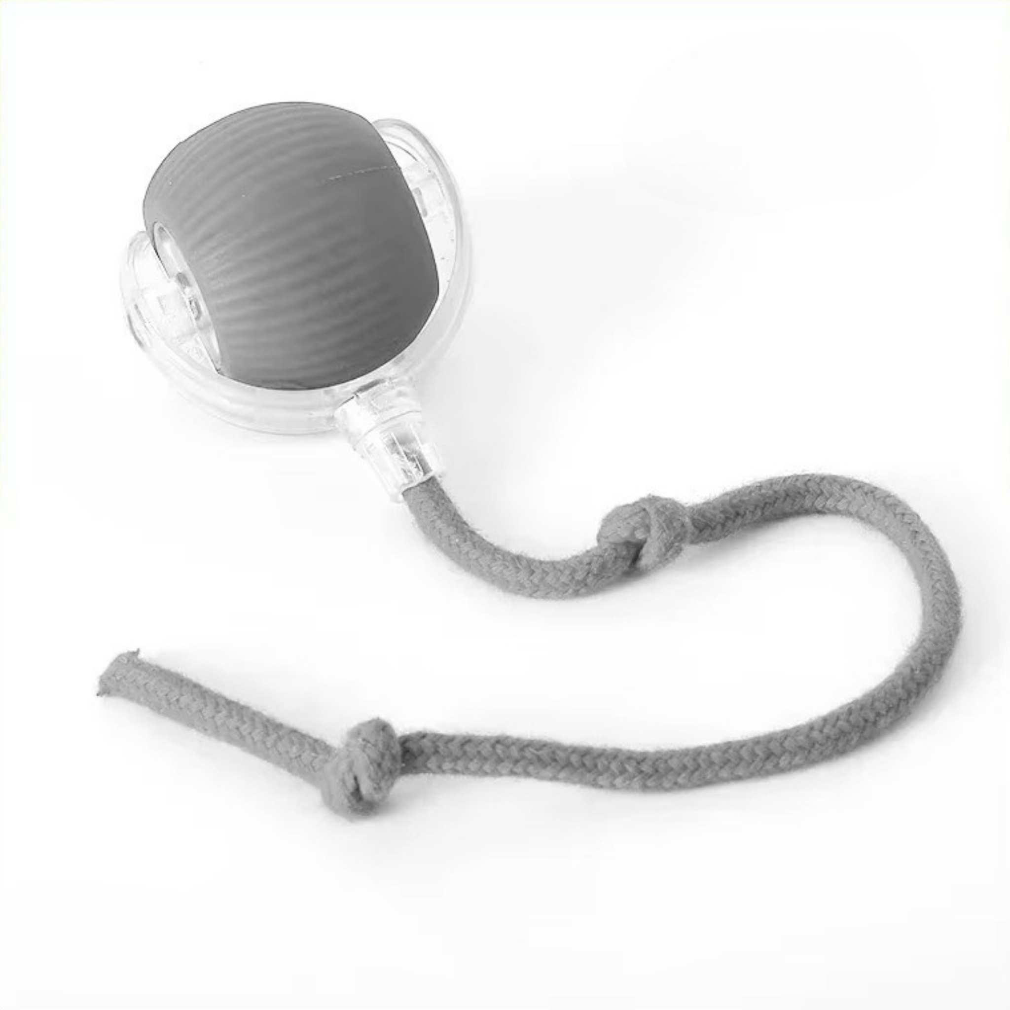 Interactive Tail Ball for Dogs