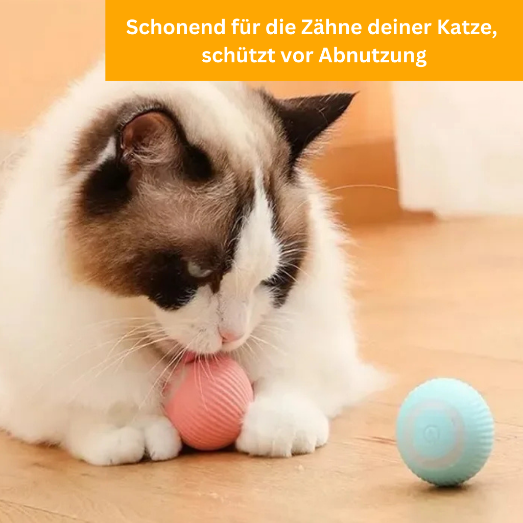 PowerBall 2.0 – Smart Cat Toy