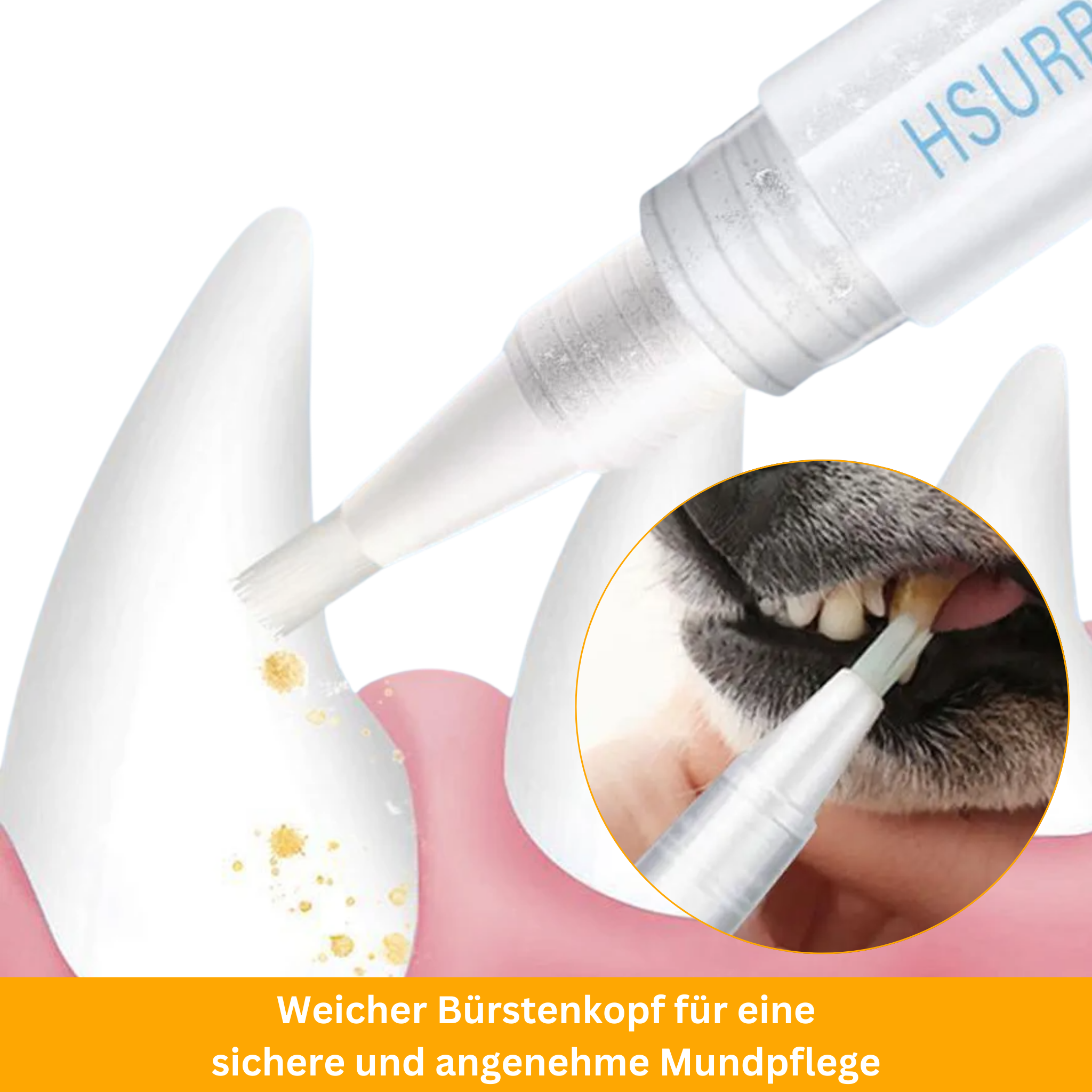 Dental Care Pen for Pets