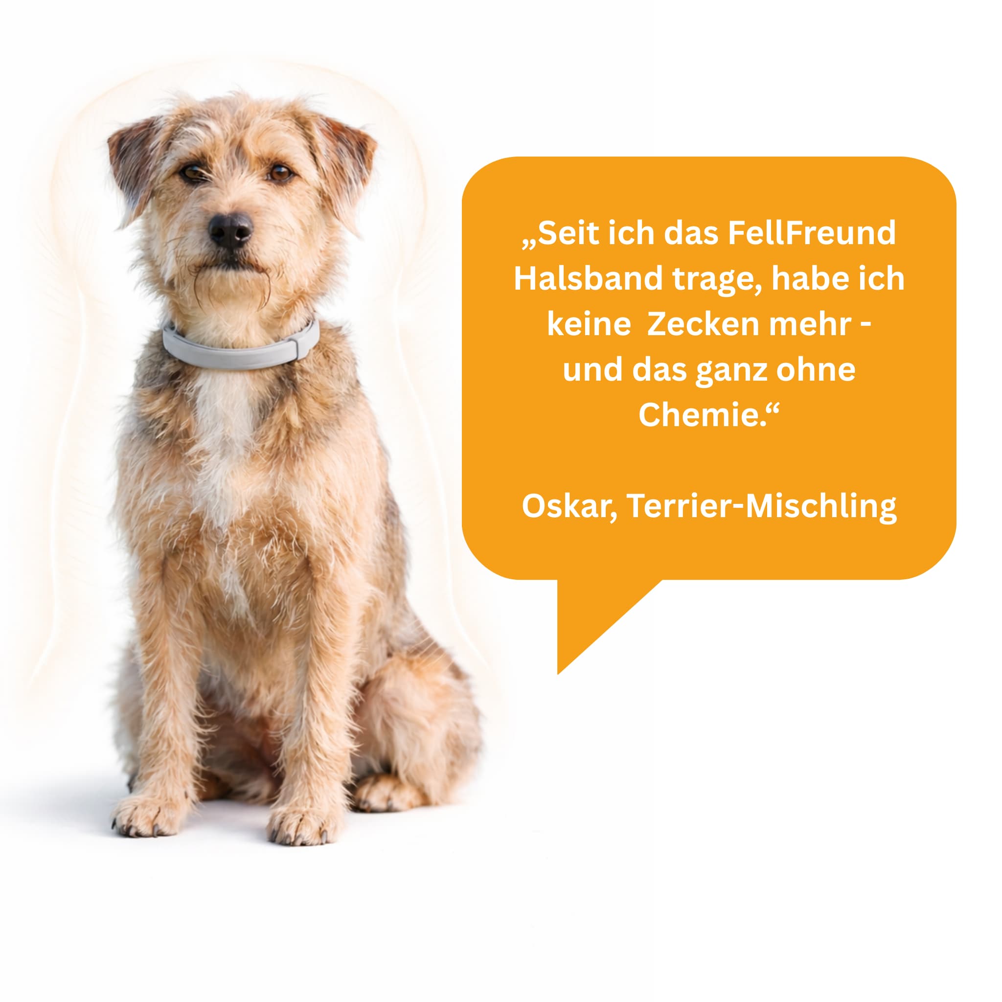 Flea and Tick Protection Collar for Dogs