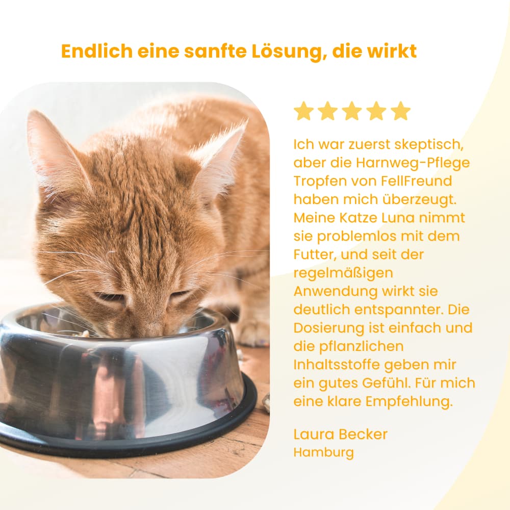 Harnweg-Pflege Tropfen für Hund & Katze