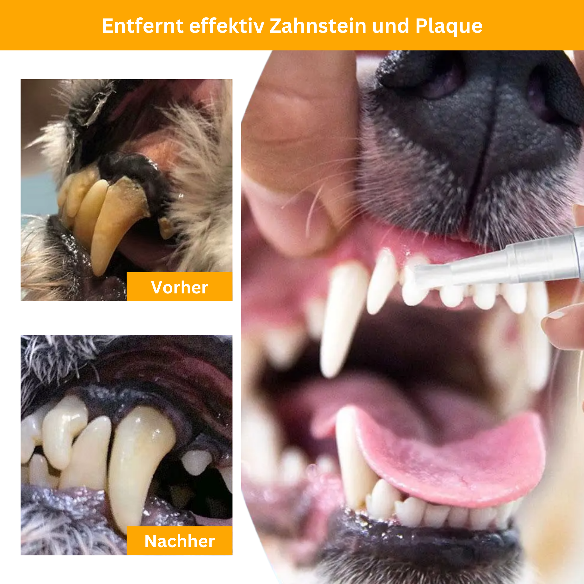 Dental Care Pen for Pets