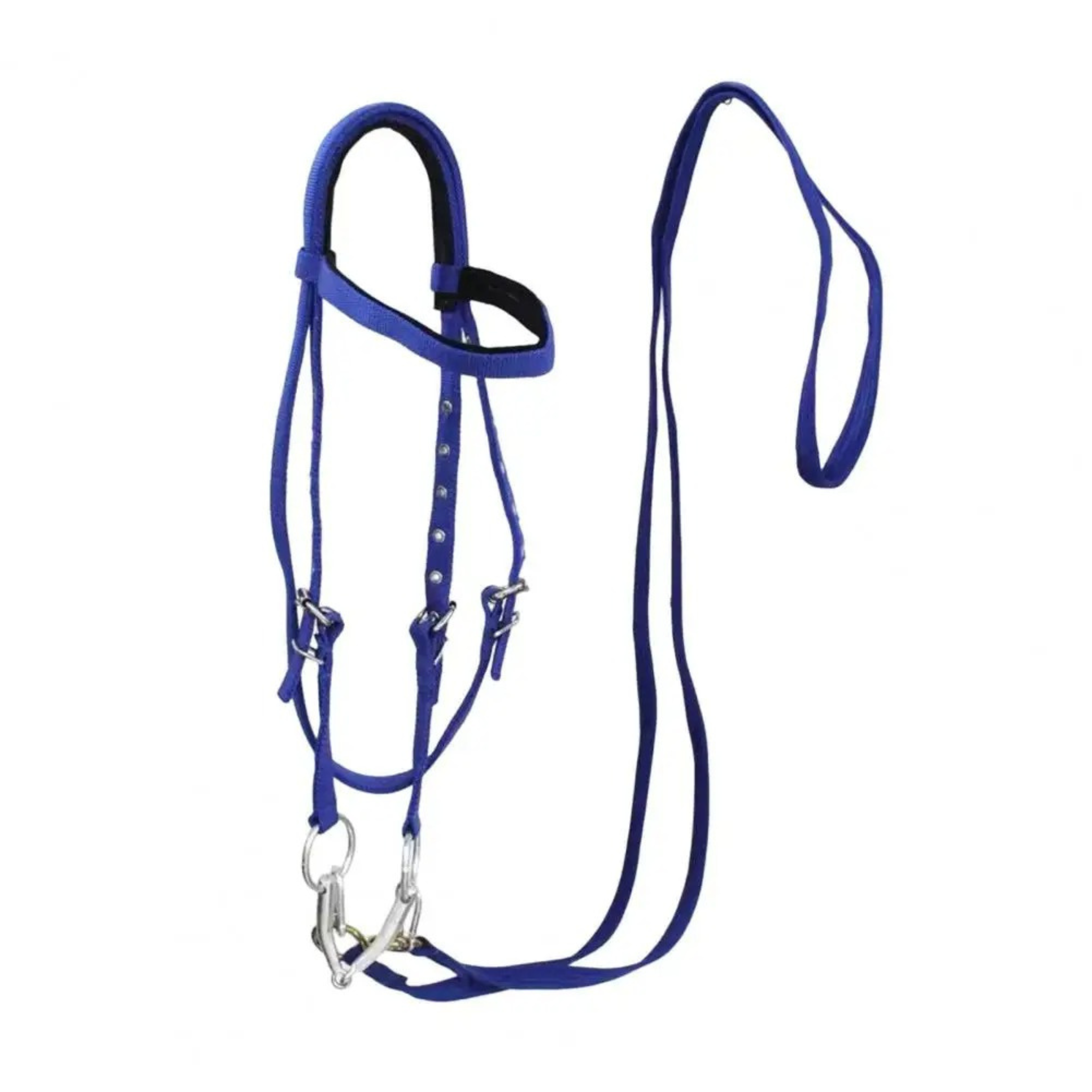 SoftLead – Padded Comfort Halter for Horses
