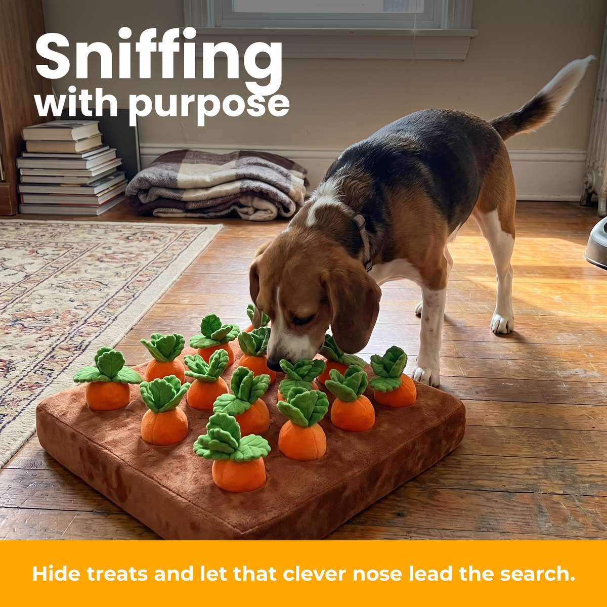 [en] Dog sniffing the Karotti mat
