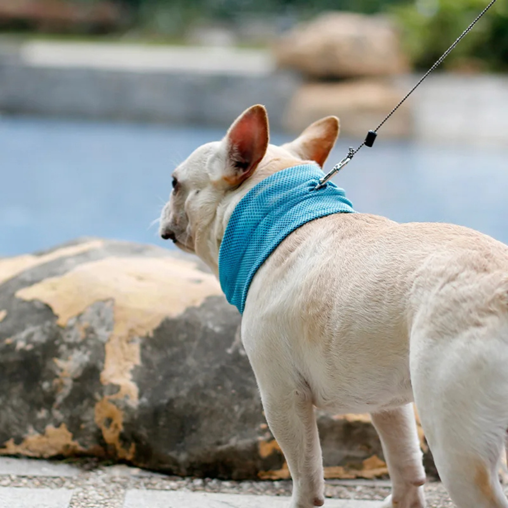 Cooling Collar Cool Comfort