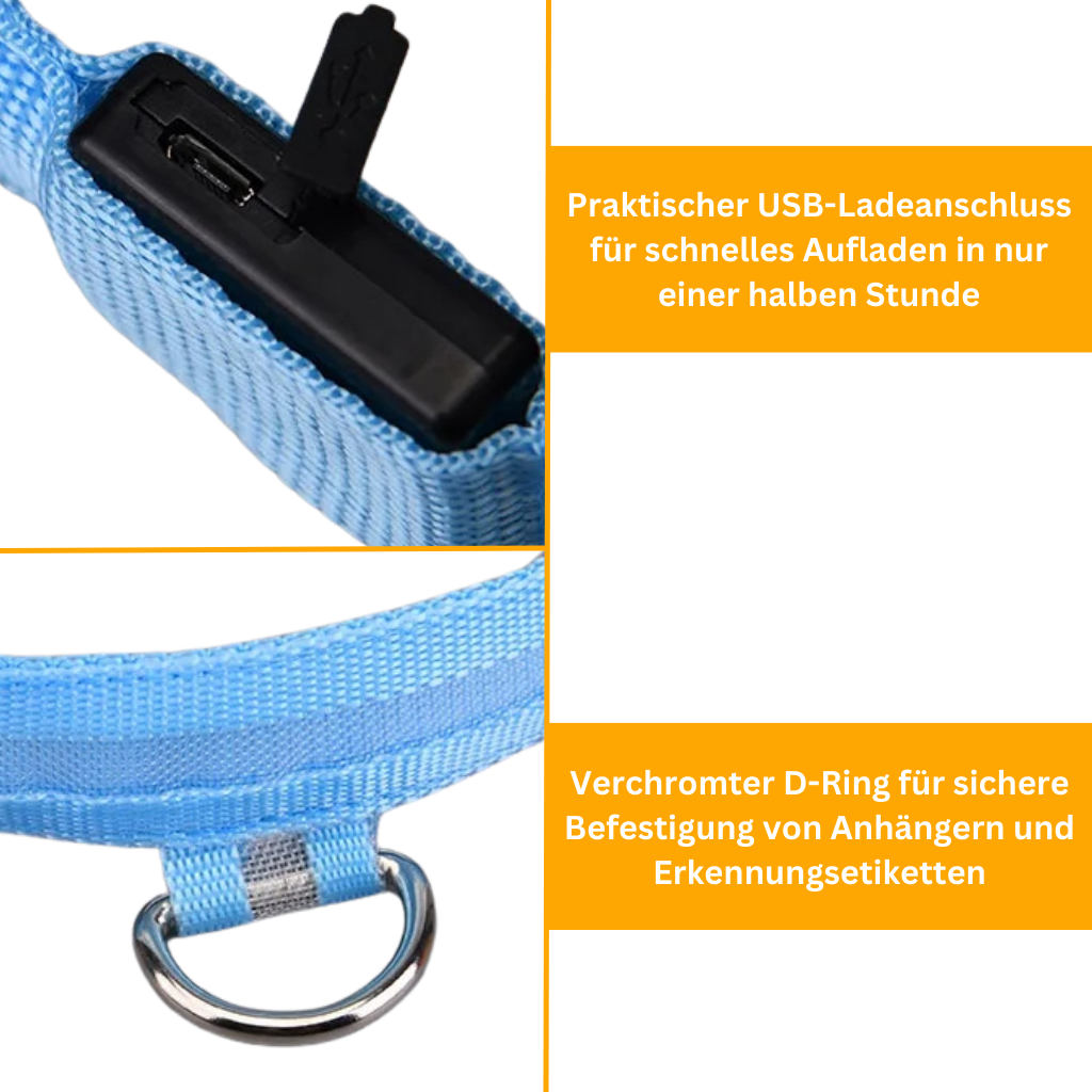 LED Light-Up Dog Collar