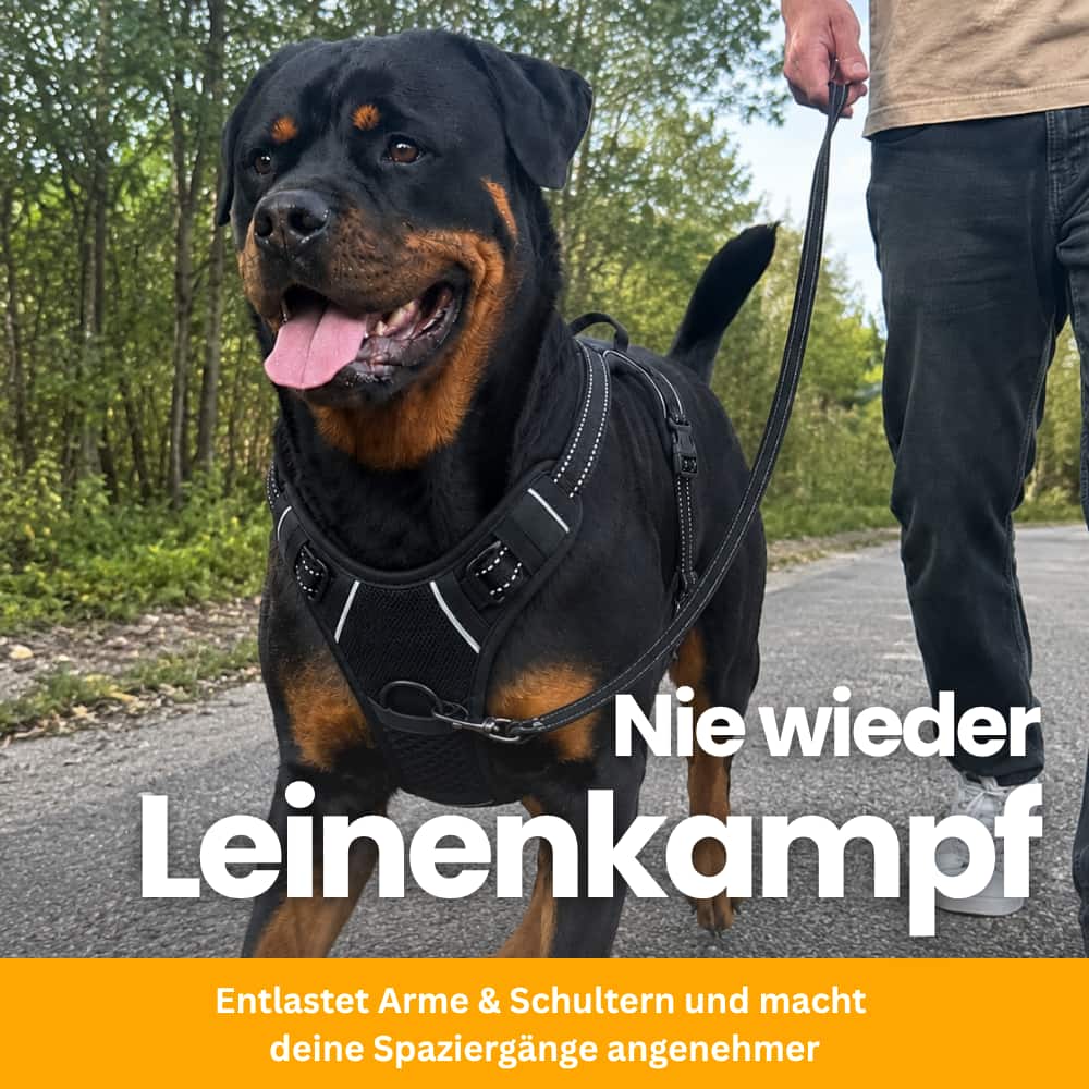 ZugFrei – Padded No-Pull Dog Harness