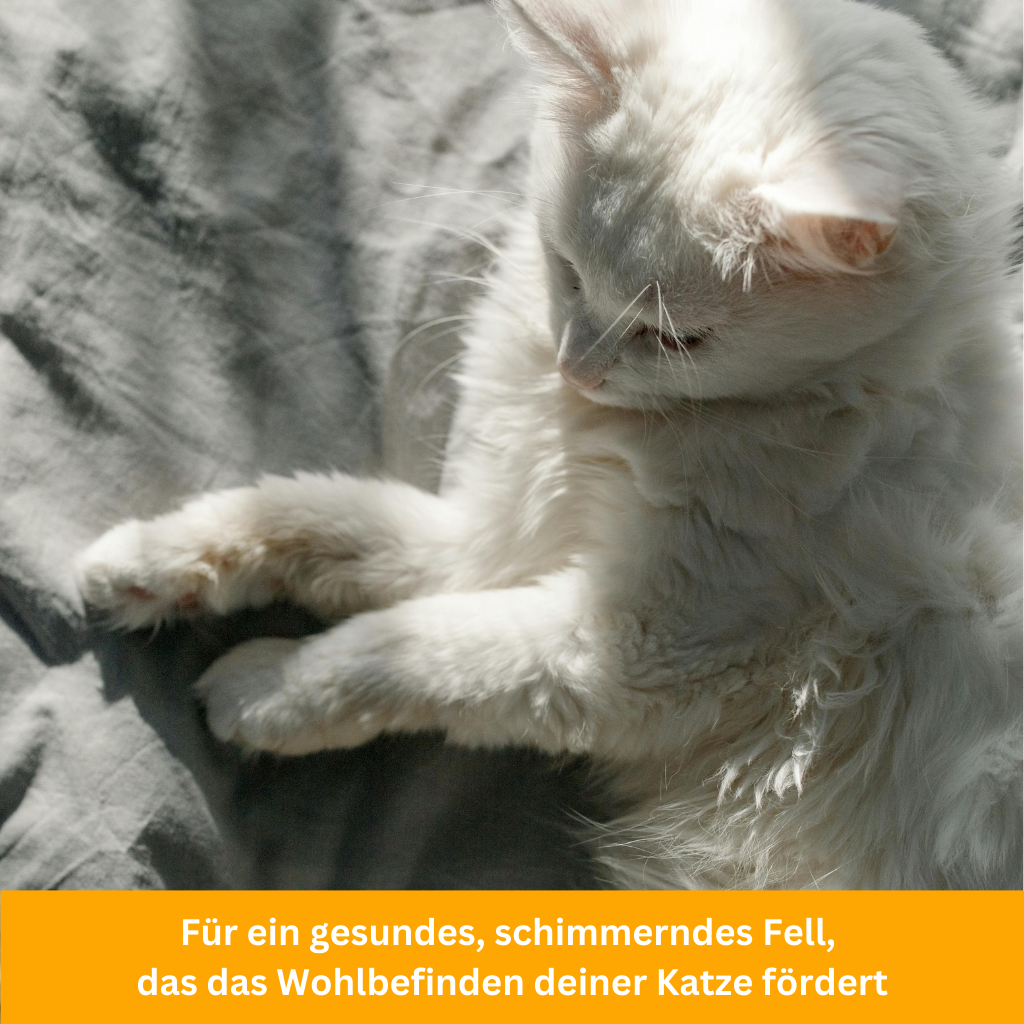 UV Tick Brush for Cats