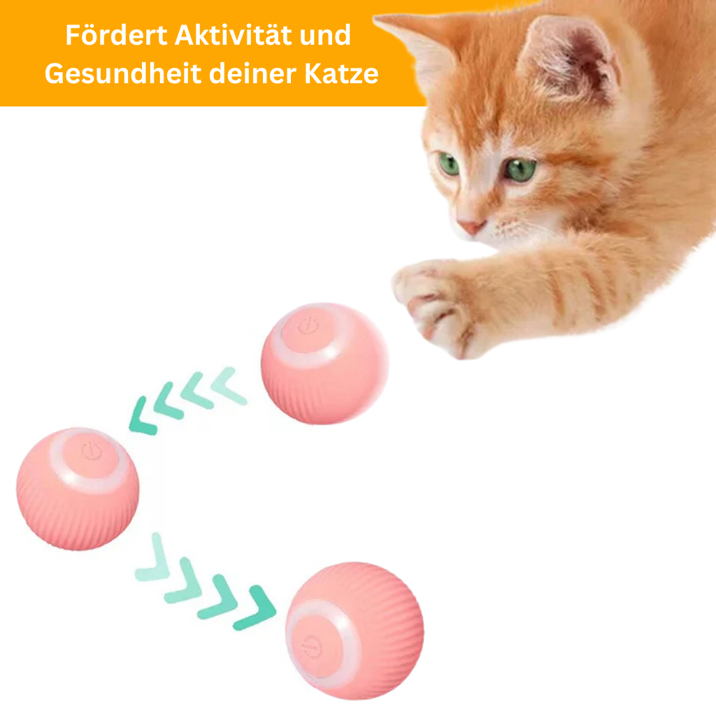 PowerBall 2.0 – Smart Cat Toy