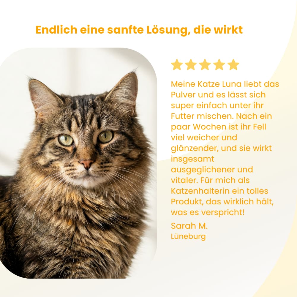 Cat Nutrient Powder for Coat & Skin