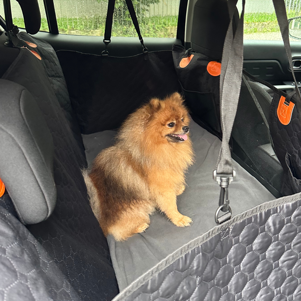 Stable Backseat Protector – Bundle