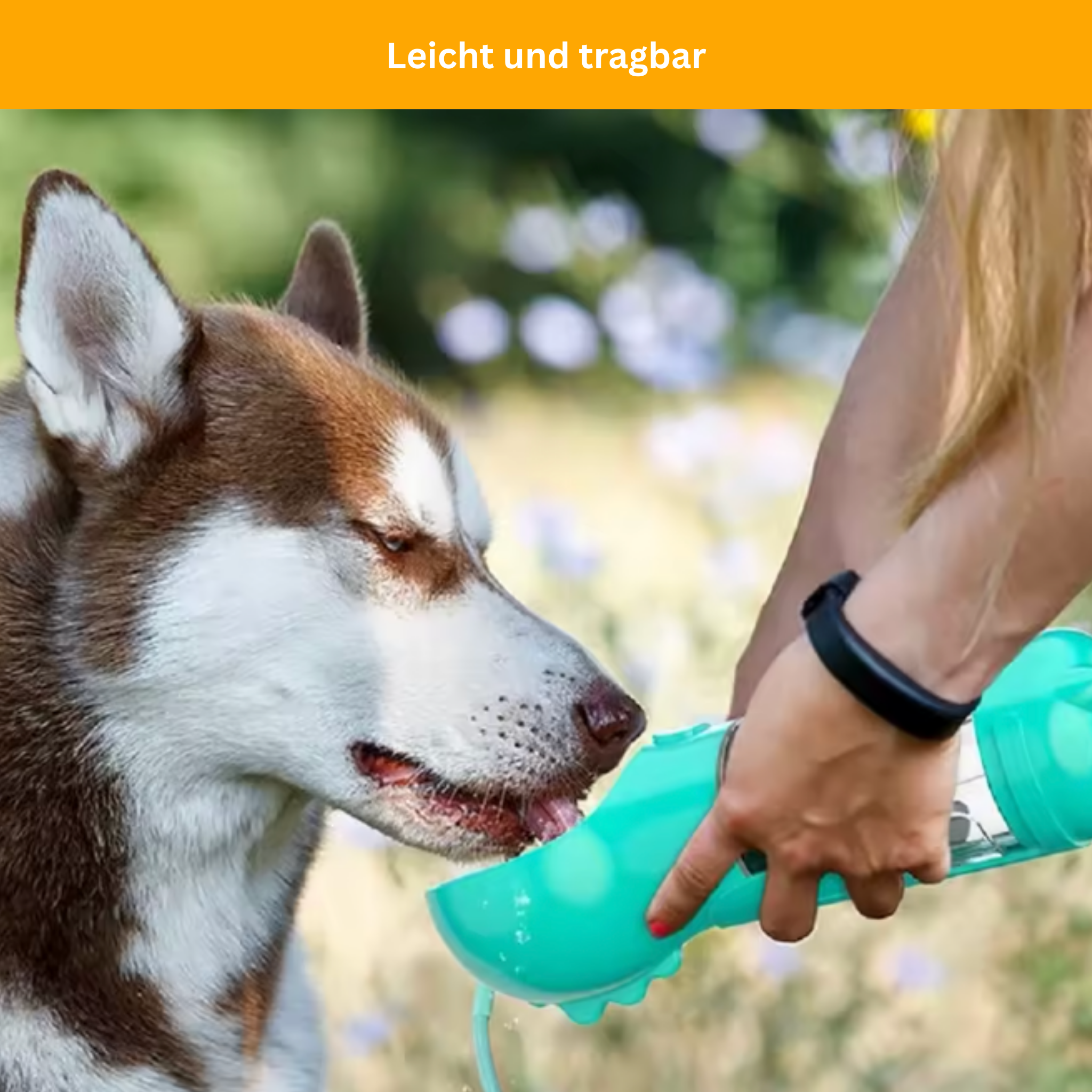 PetGo 5-in-1 Futter- & Wasserflasche