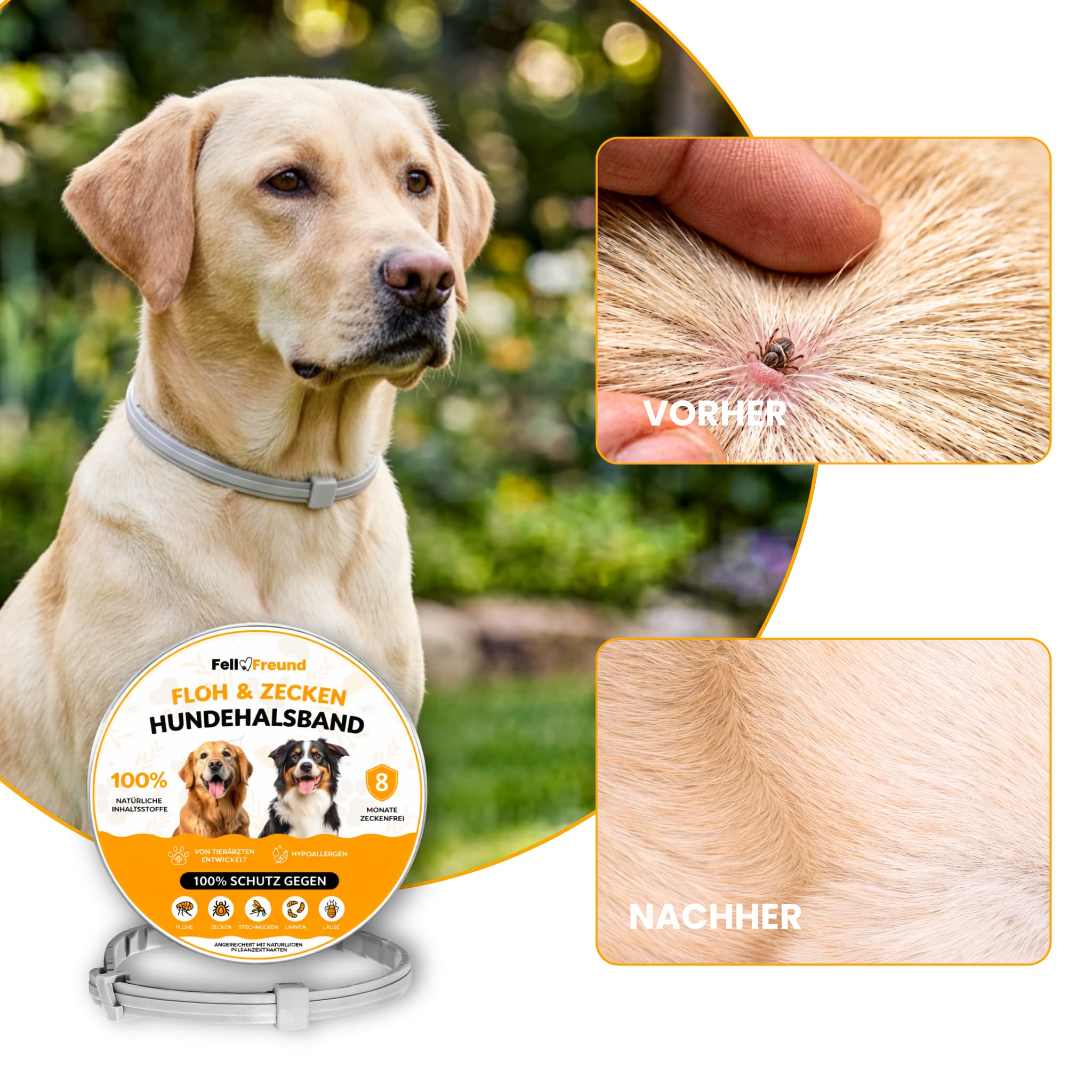 Flea and Tick Protection Collar for Dogs