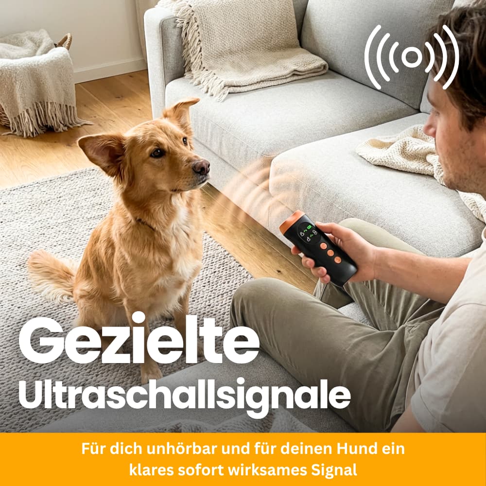 SilentGuard – Gentle Anti-Barking Solution