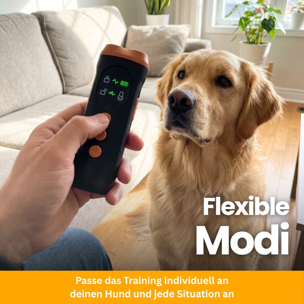 SilentGuard – Gentle Anti-Barking Solution