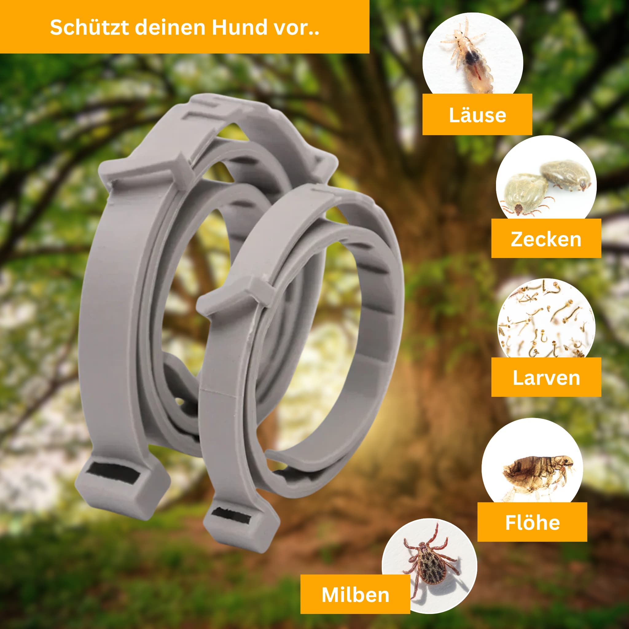 Floh- und Zeckenschutz Halsband für Hunde [Verdopplungs Aktion]