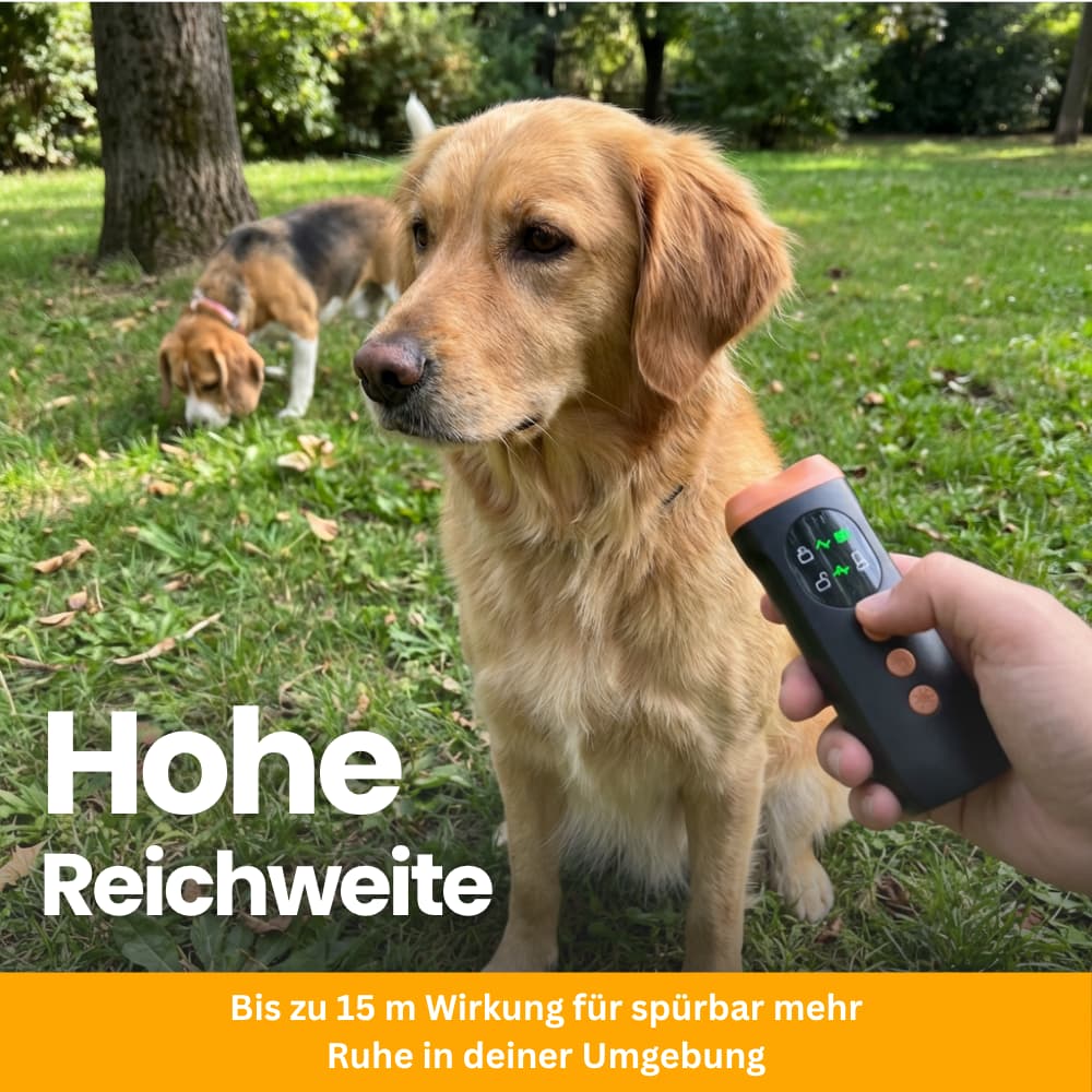 SilentGuard – Gentle Anti-Barking Solution