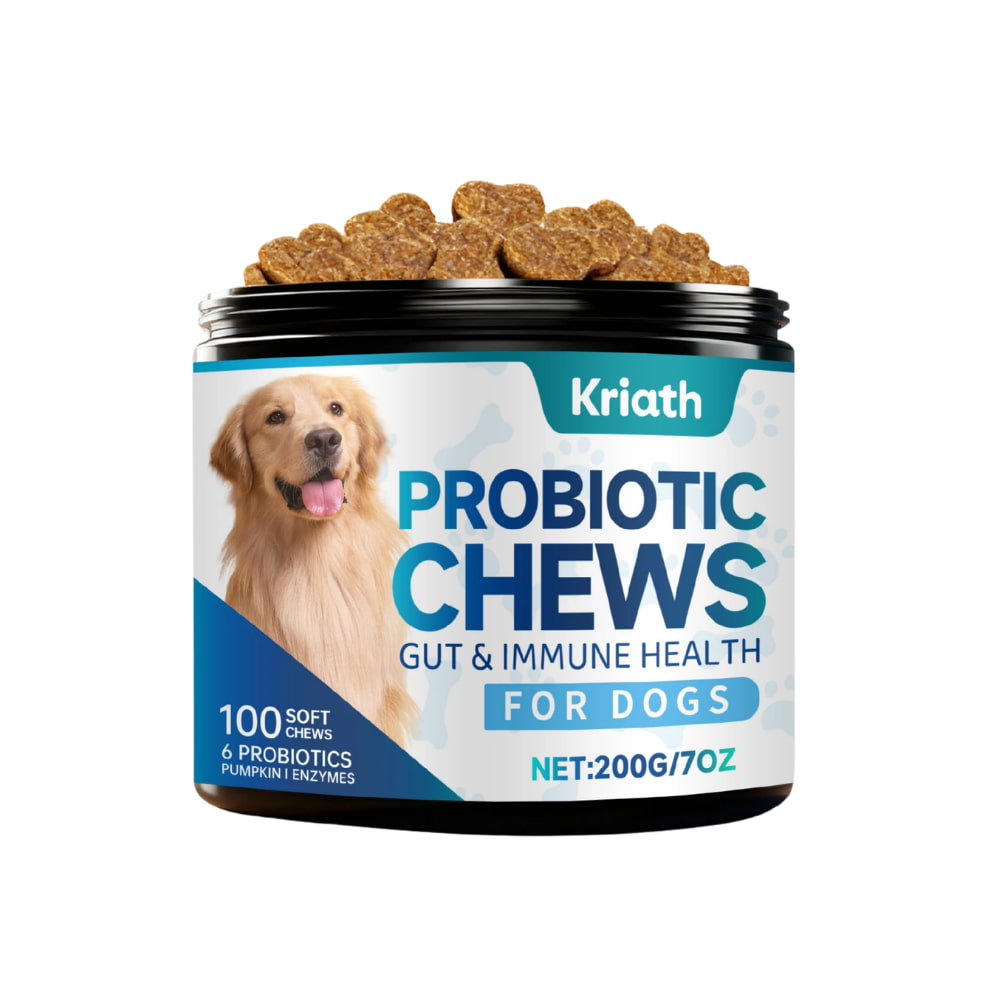 Dog Probiotics for Gut & Immune System