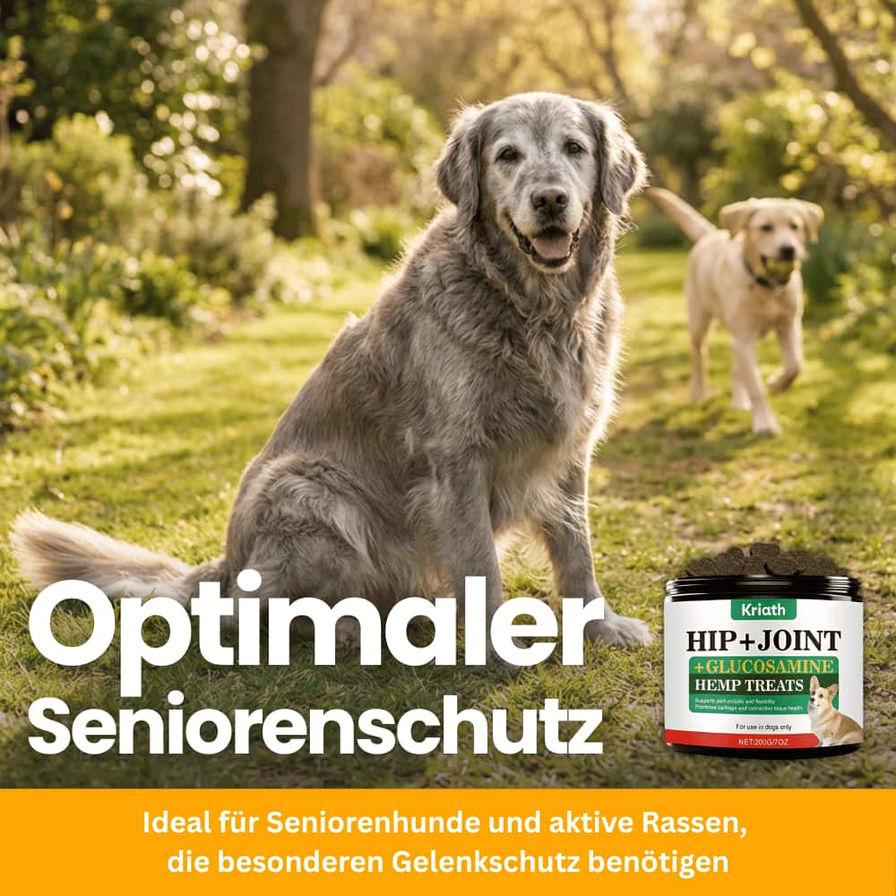 Joint Chews for Dogs with Glucosamine