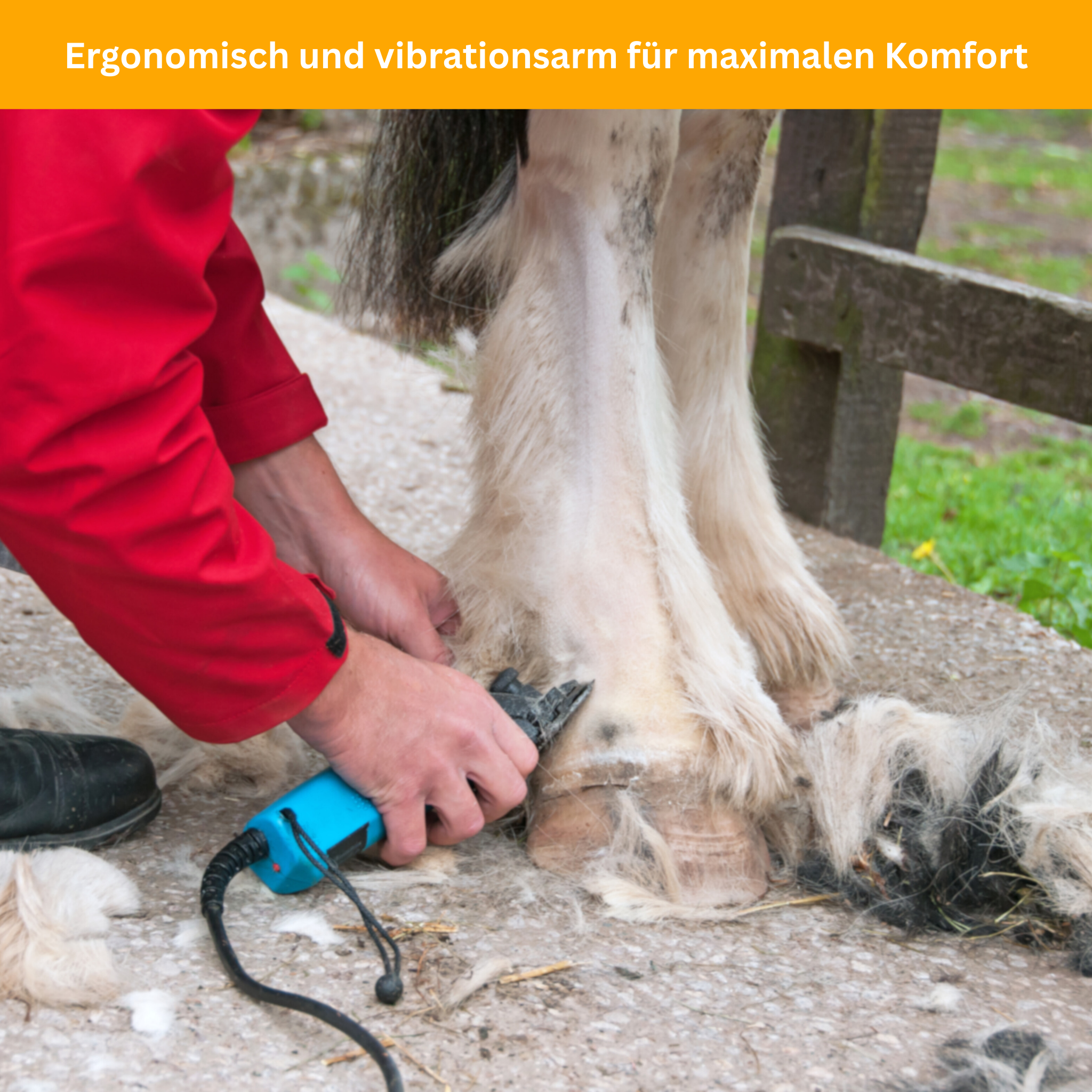 ShearPro – 690W Schermaschine für Pferde