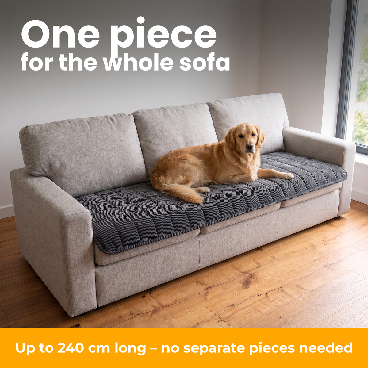 [en] CouchSafe – one piece for the whole sofa