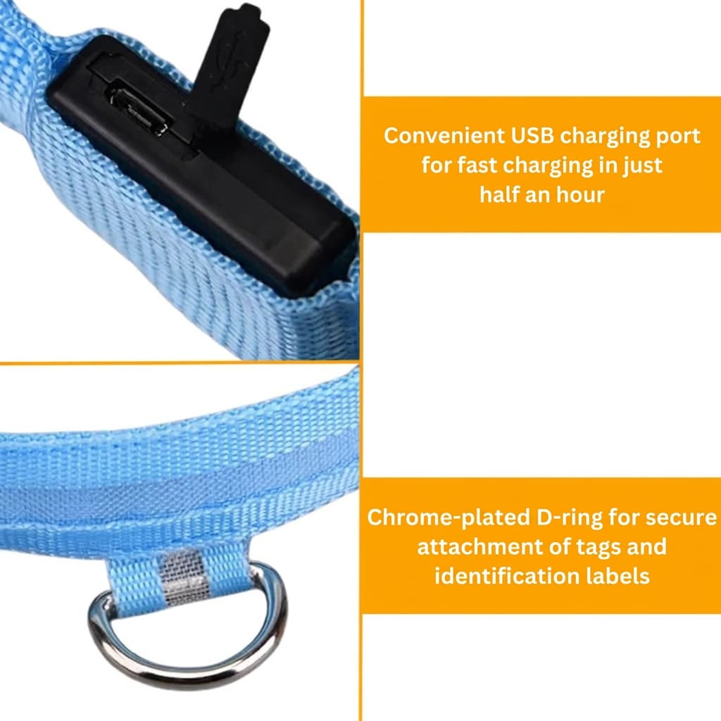 LED Light-Up Dog Collar