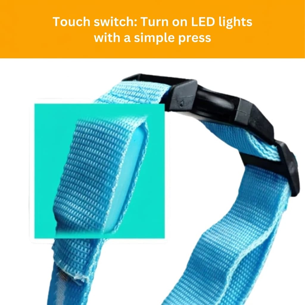 LED Light-Up Dog Collar