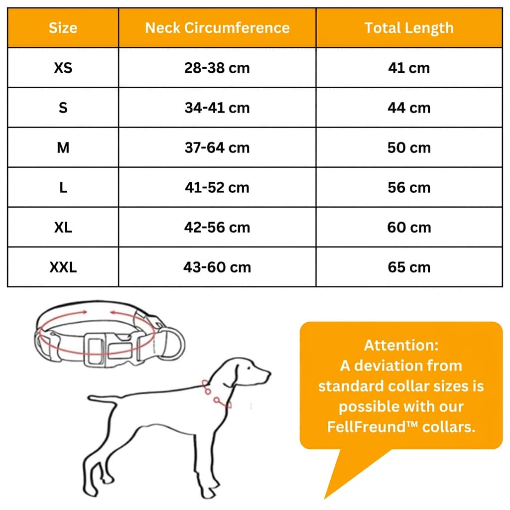 LED Light-Up Dog Collar