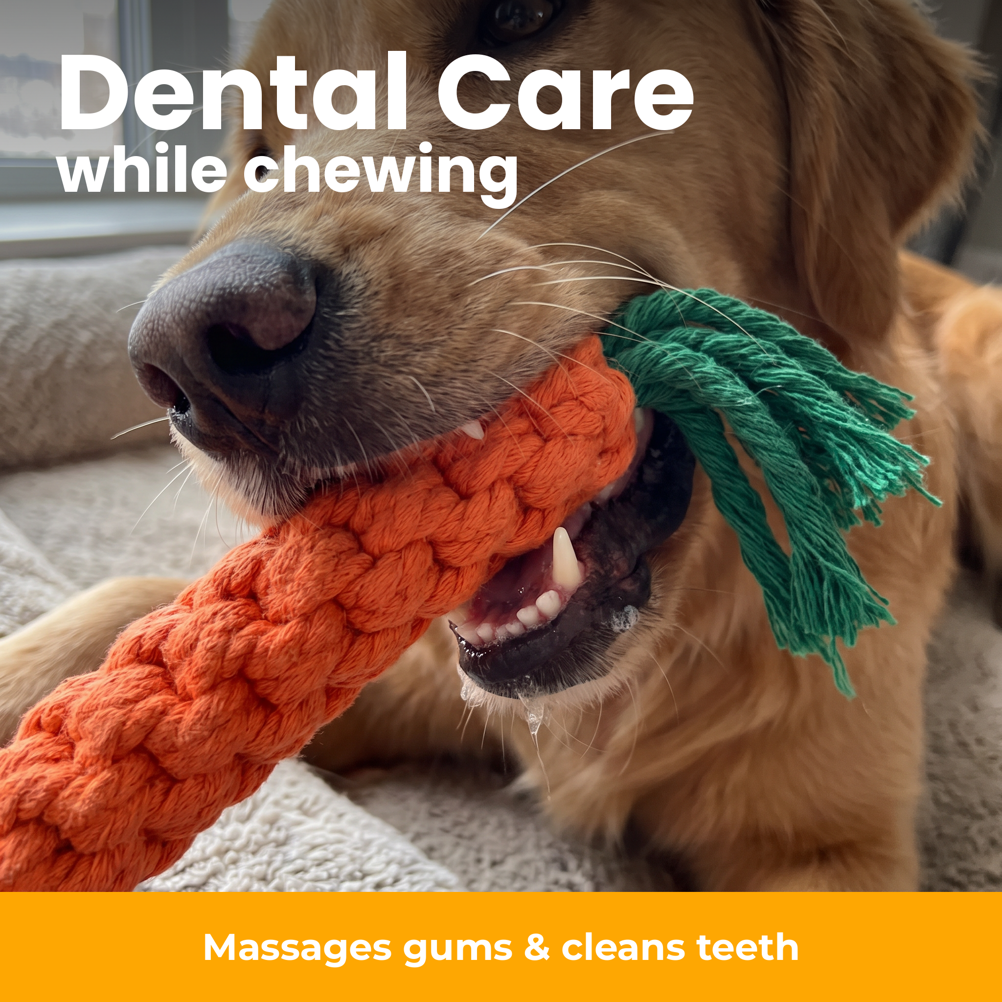 [en] Dental care while chewing