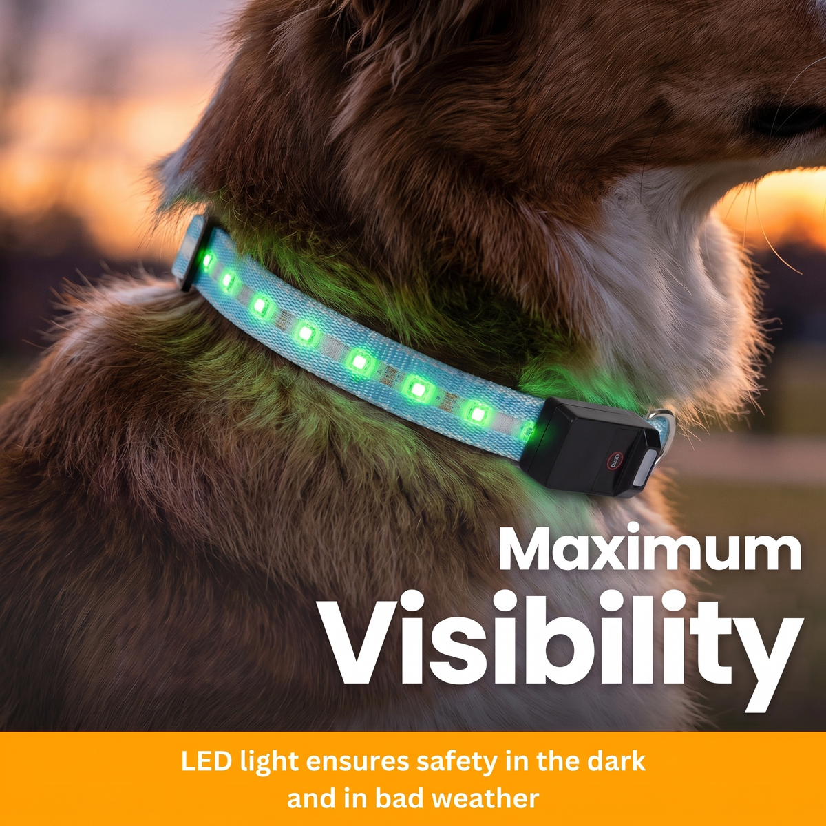 [en] LED Light-Up Collar Pro – Maximum visibility