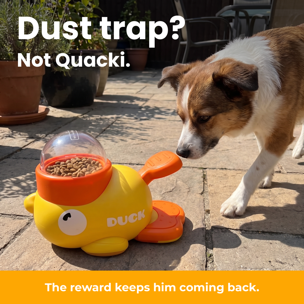 [en] Dust trap? Not Quacki.