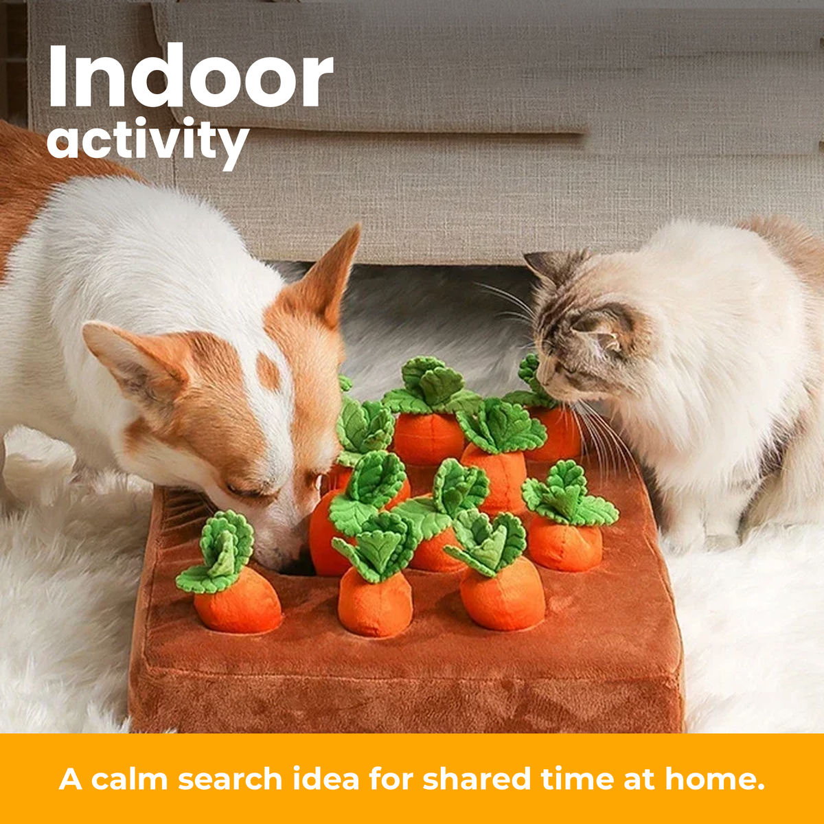 [en] Indoor sniffing activity