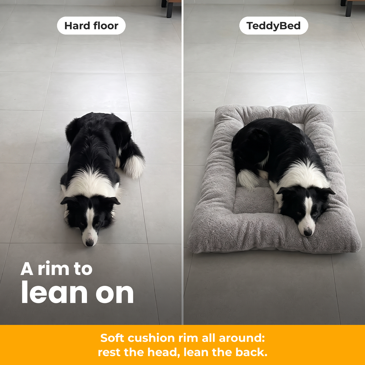 [en] TeddyBed – Comparison: dog on a hard floor vs in the TeddyBed with soft cushion rim
